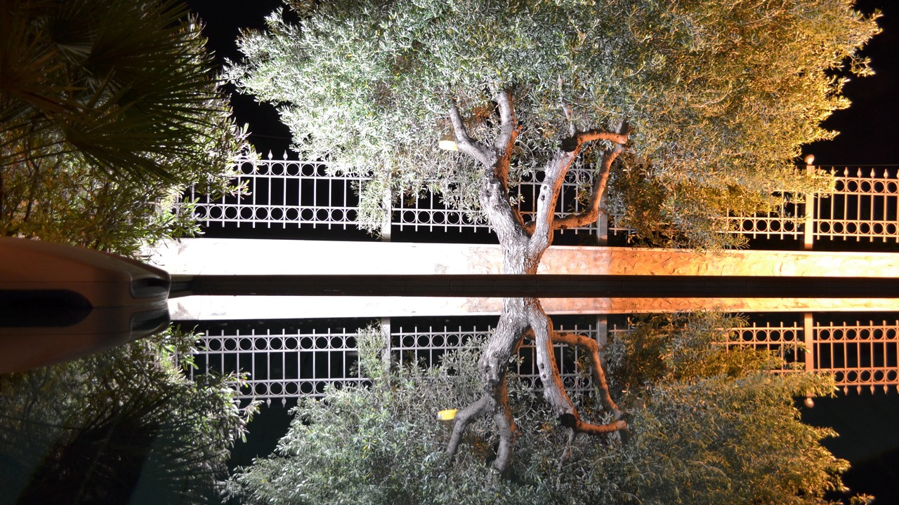 Photo of Outdoor in Magnisia
