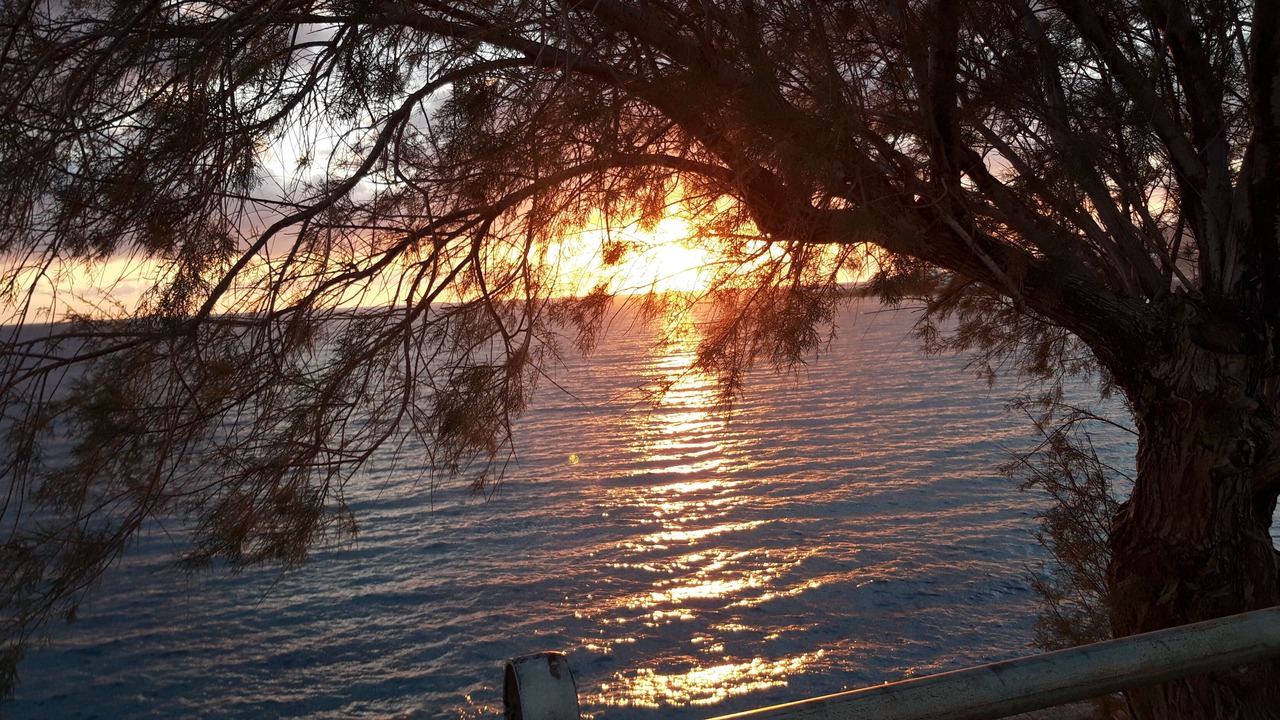 Photo of Others in Makry Gialos
