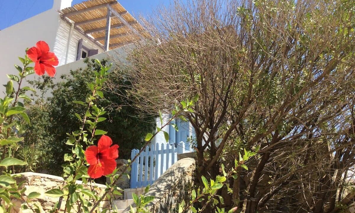 Photo of Outdoor in Serifos