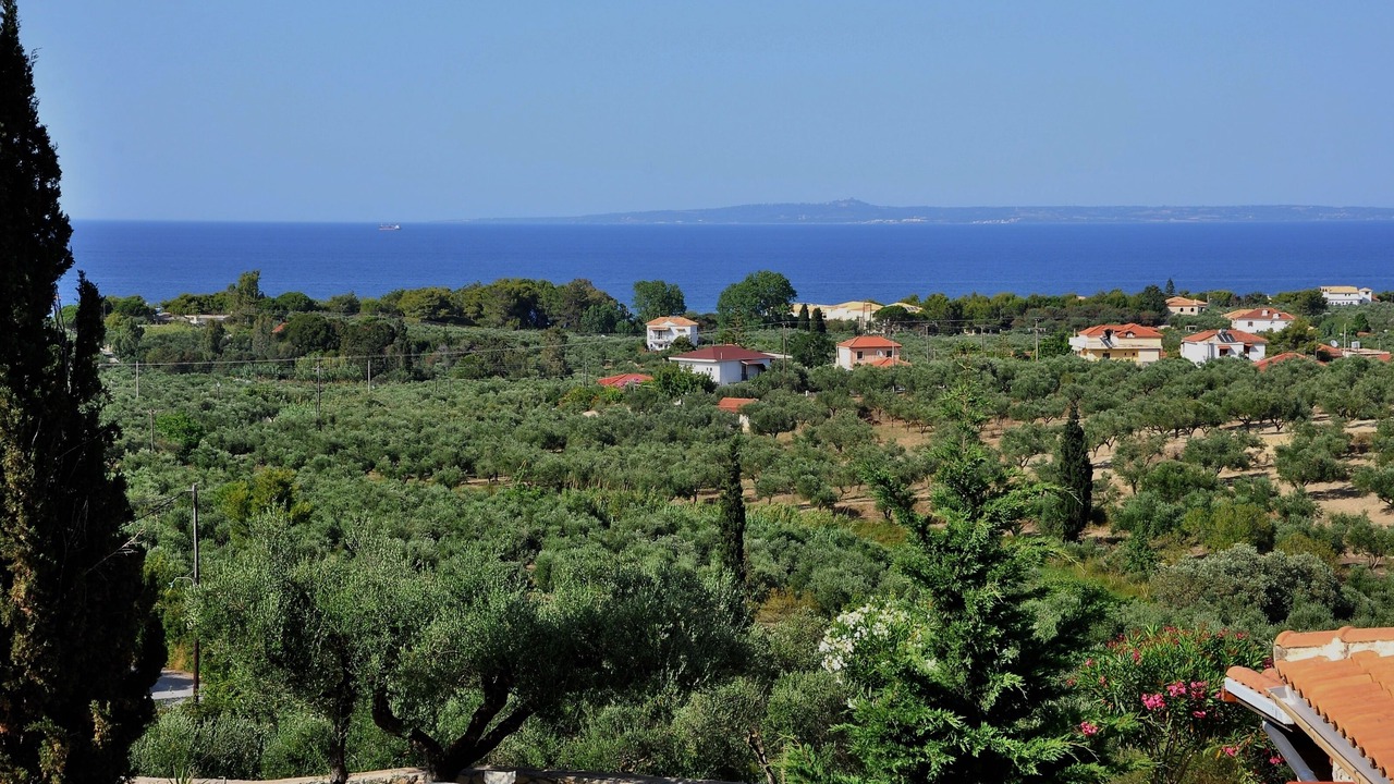 Photo of Others in Ano Vasilikos