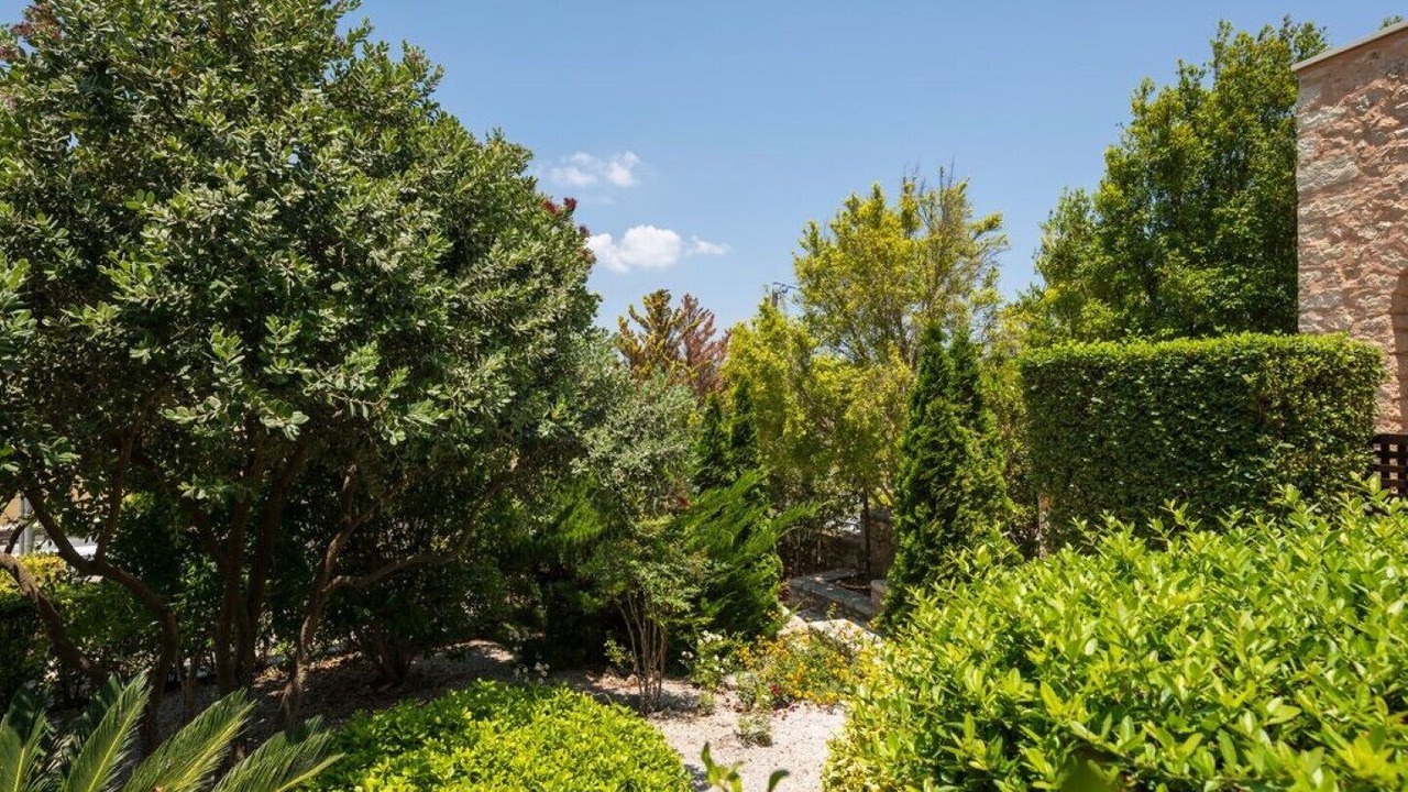 Photo of Outdoor in Vamos