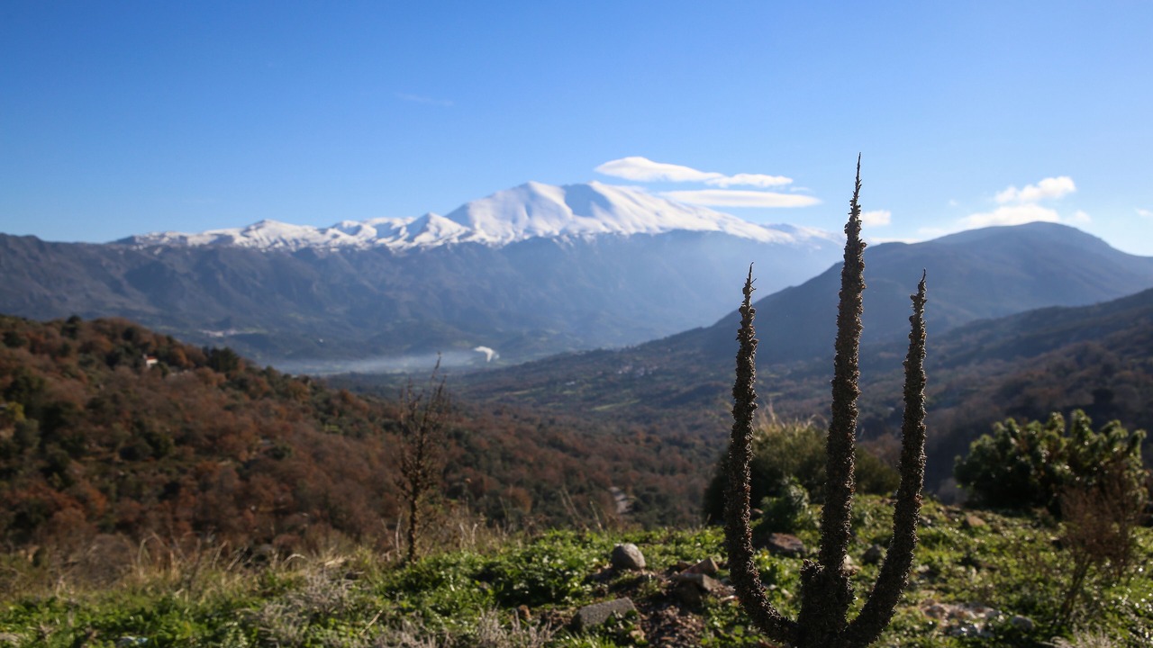 Photo of Outdoor in Amari