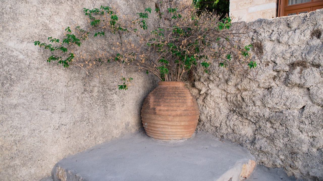 Photo of Outdoor in Oitylo