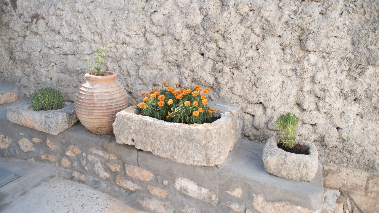 Photo of Outdoor in Oitylo