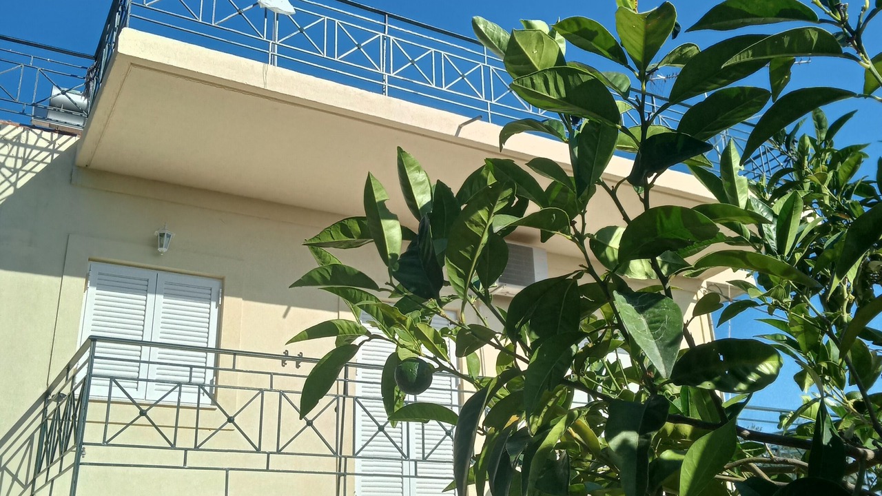 Photo of Outdoor in Karvelas