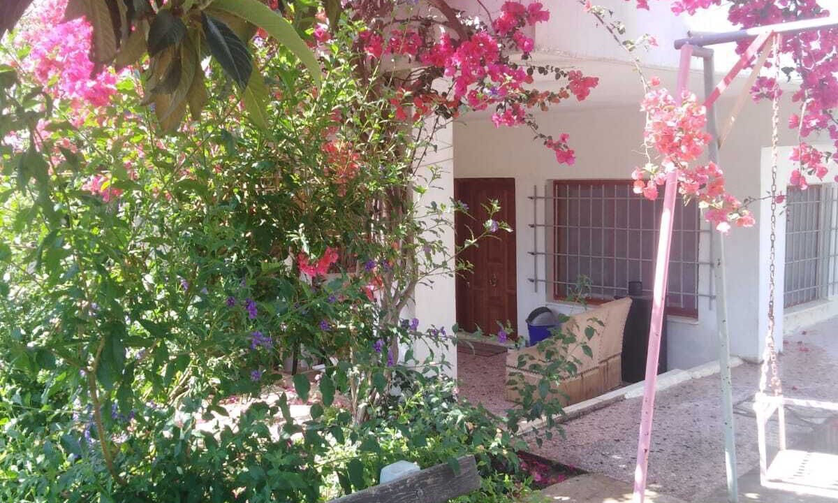 Photo of Patio Balcony in Nea Makri