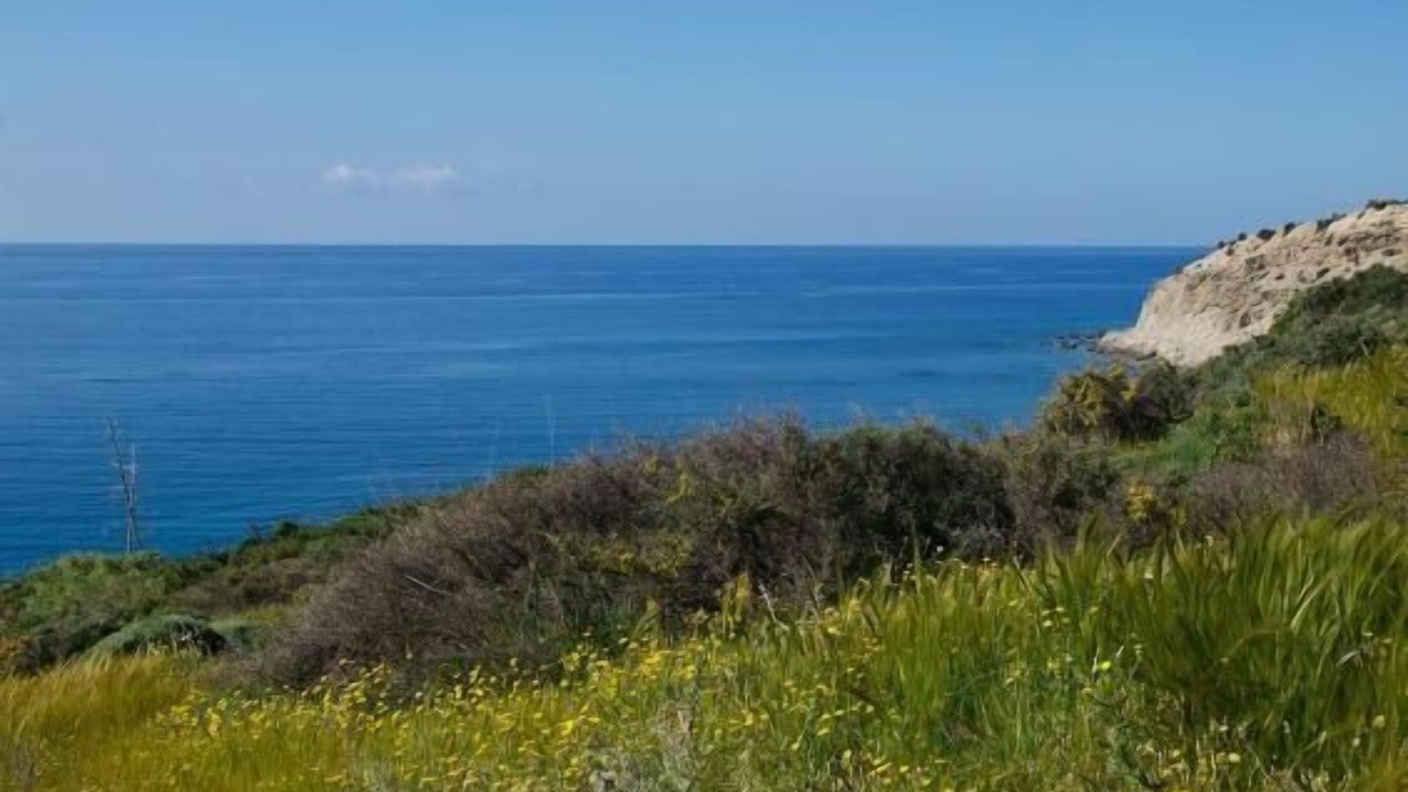 Photo of Others in Myrtos