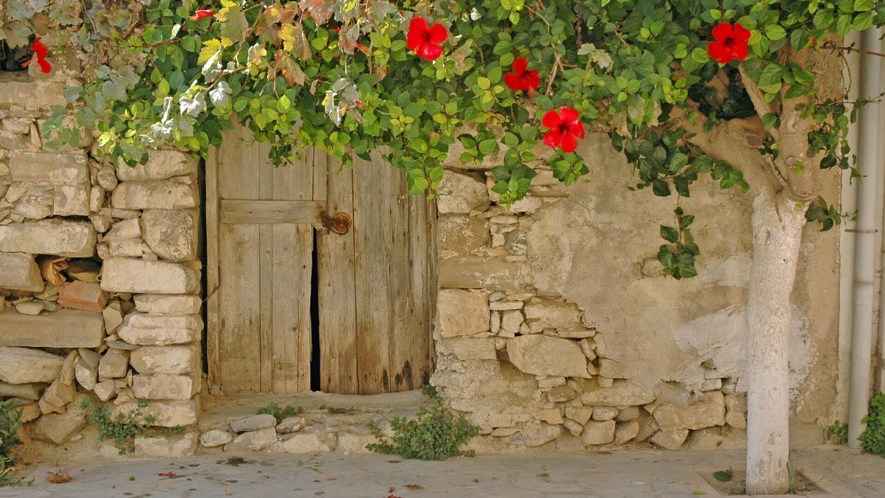 Photo of Outdoor in Myrtos