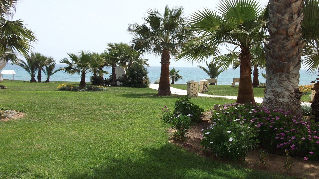 Photo of Outdoor in Eastern Hammamet