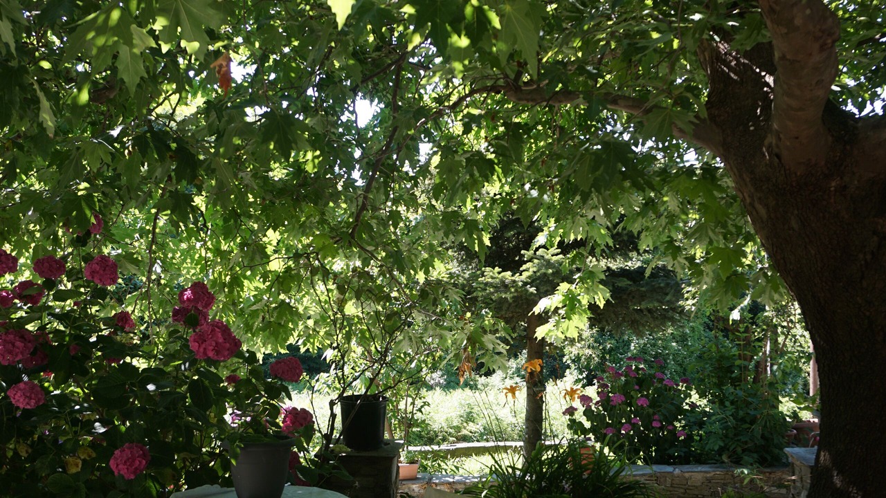 Photo of Outdoor in Tsagarada