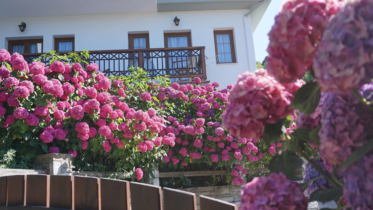 Photo of Outdoor in Tsagarada