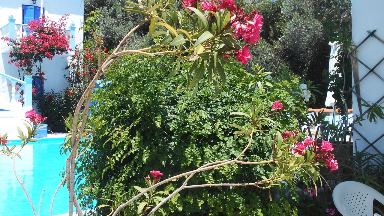 Photo of Outdoor in Marathokampos