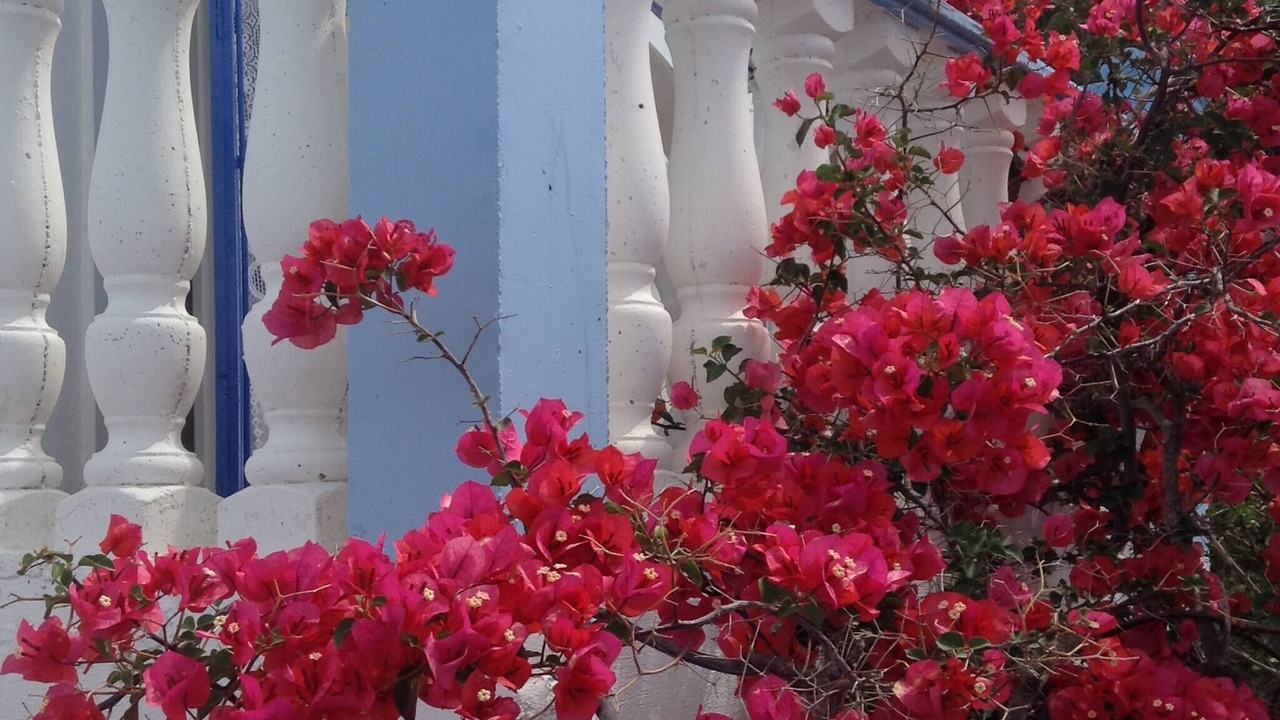 Photo of Outdoor in Marathokampos