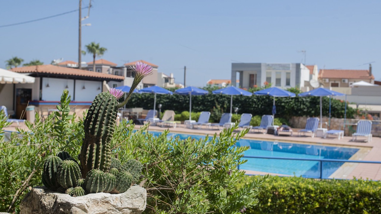 Photo of Outdoor in Almyrida