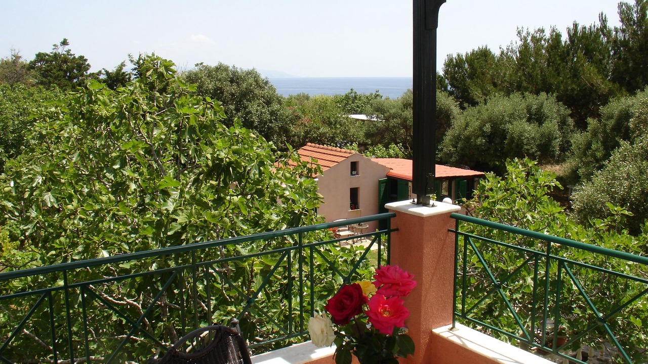 Photo of Outdoor in Svoronata
