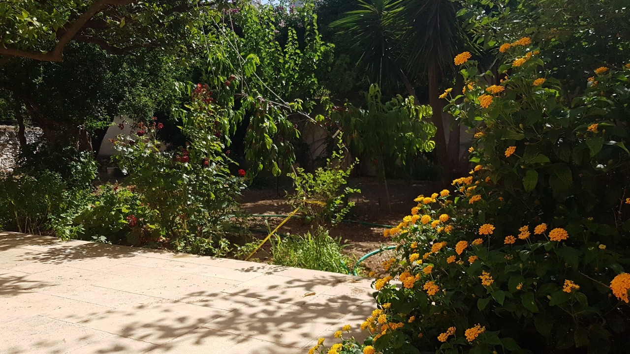 Photo of Outdoor in Palaia Fokaia