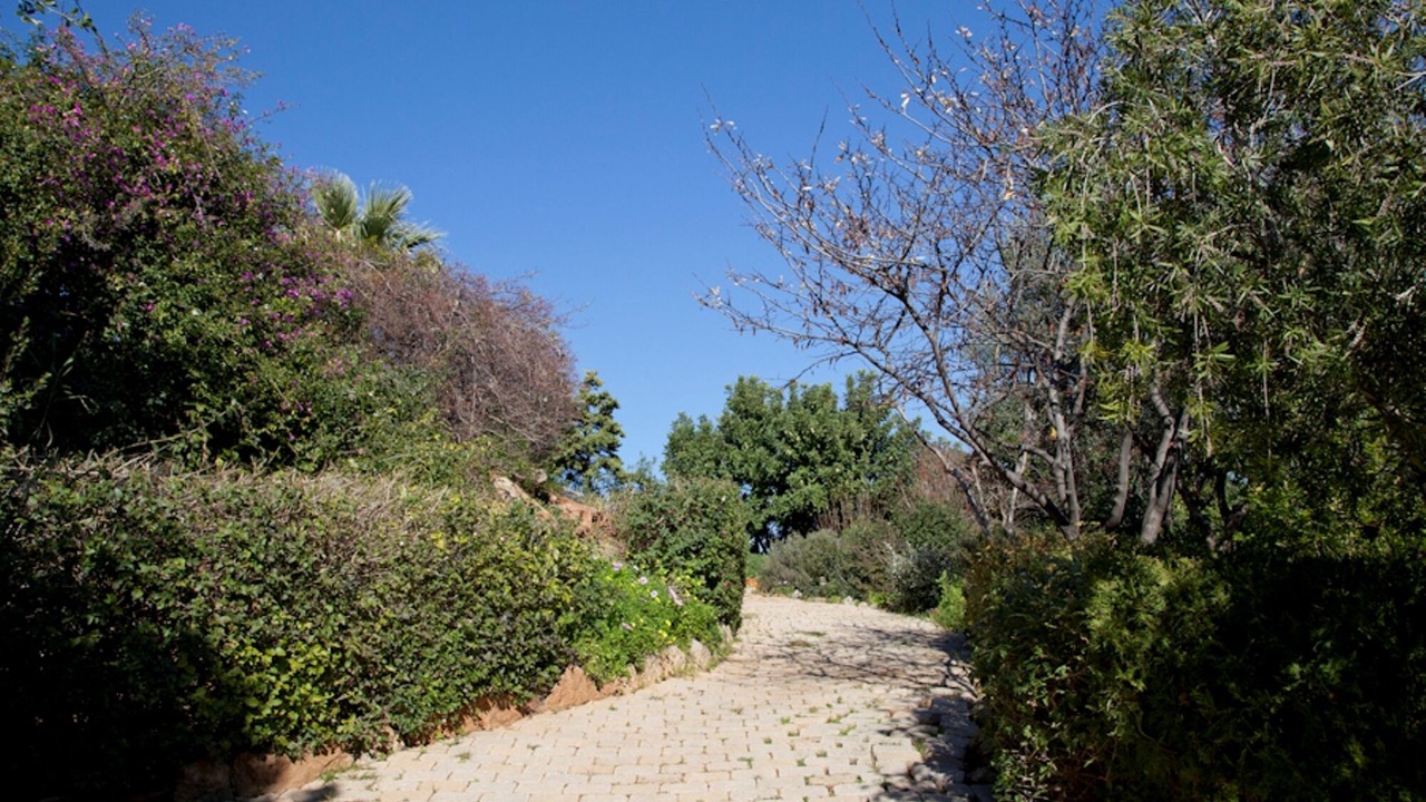 Photo of Outdoor in Lavreotiki