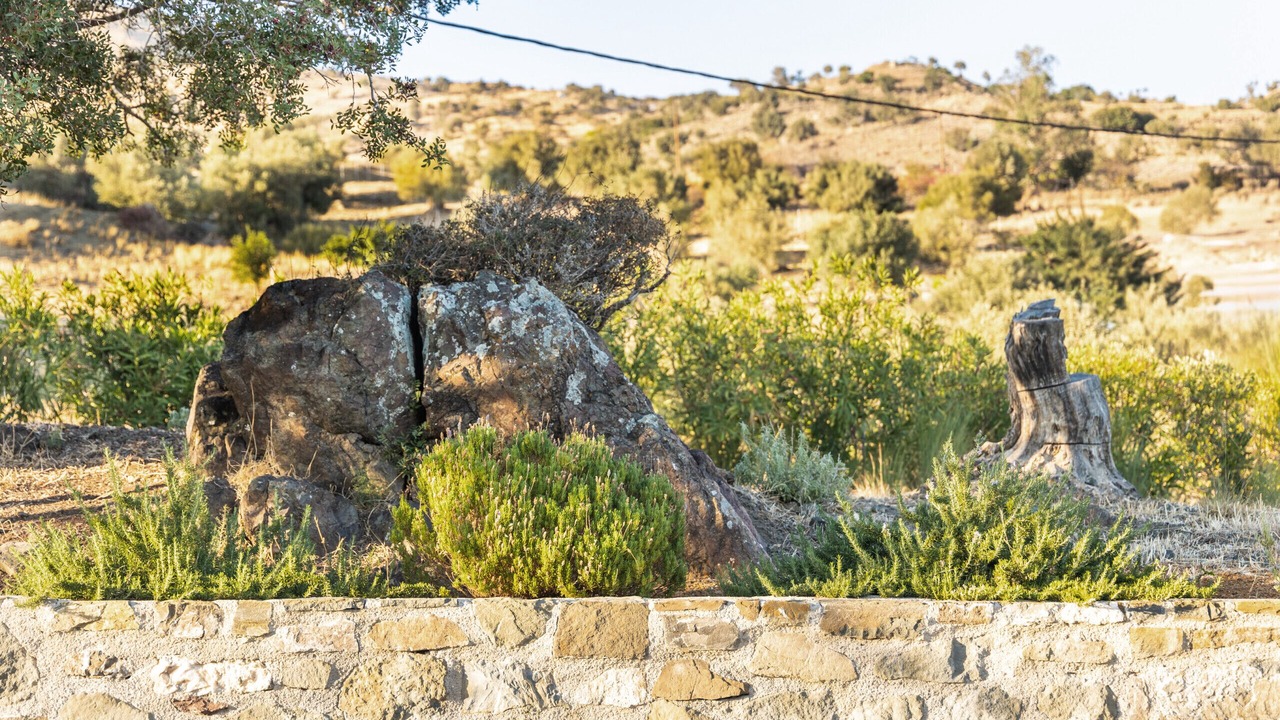 Photo of Others in Agia Galini