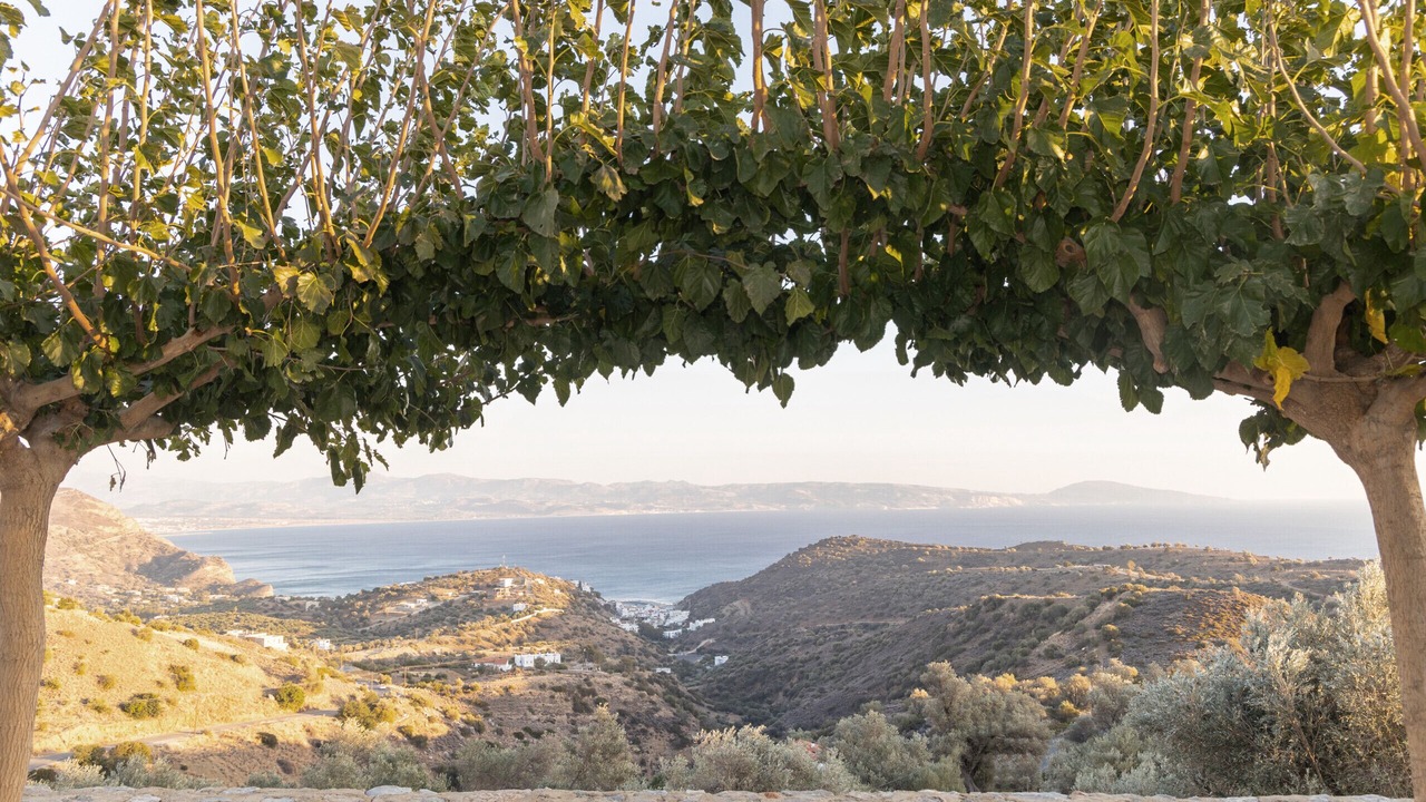 Photo of Others in Agia Galini