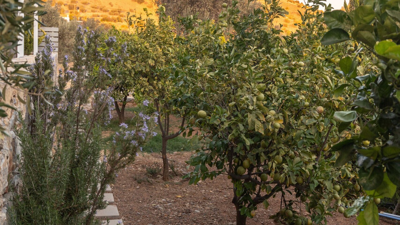Photo of Outdoor in Agia Galini