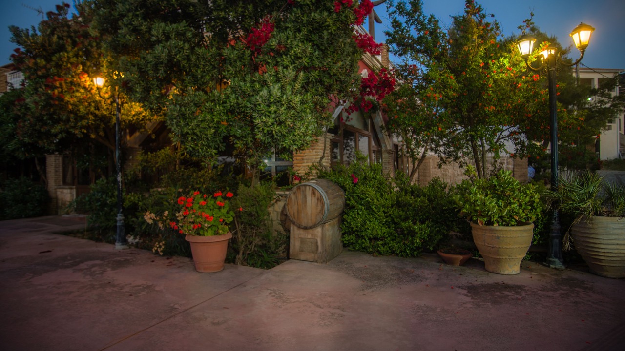 Photo of Outdoor in Zakynthos