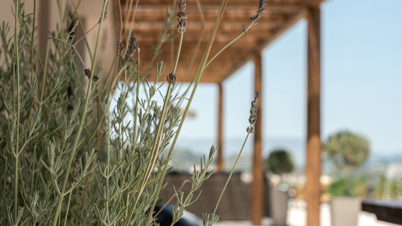 Photo of Outdoor in Zakynthos