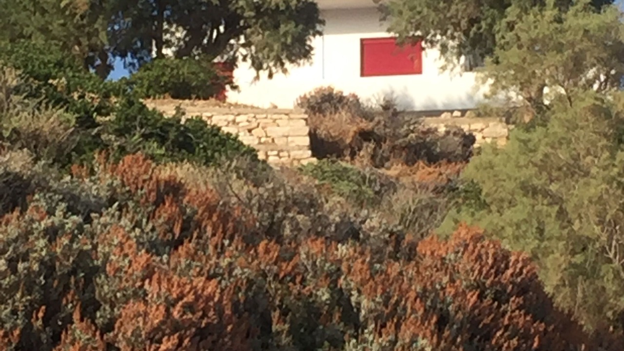 Photo of Outdoor in Mastichochoria
