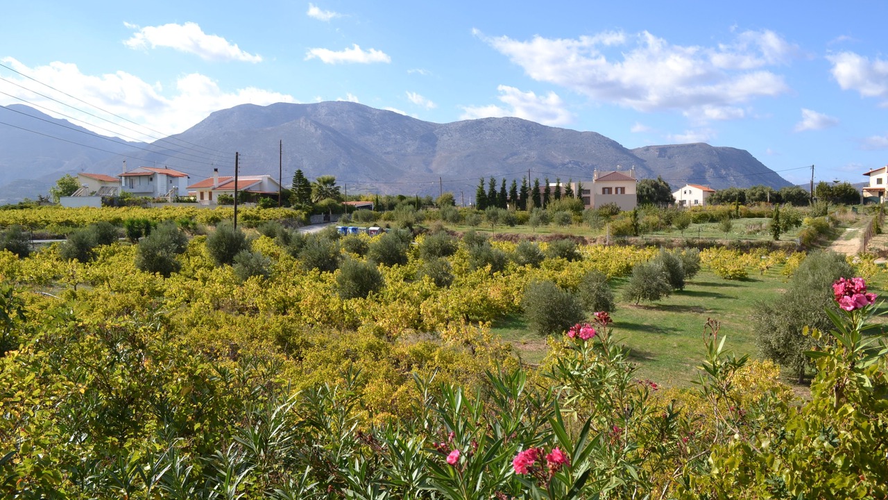 Photo of Outdoor in Pendamodi