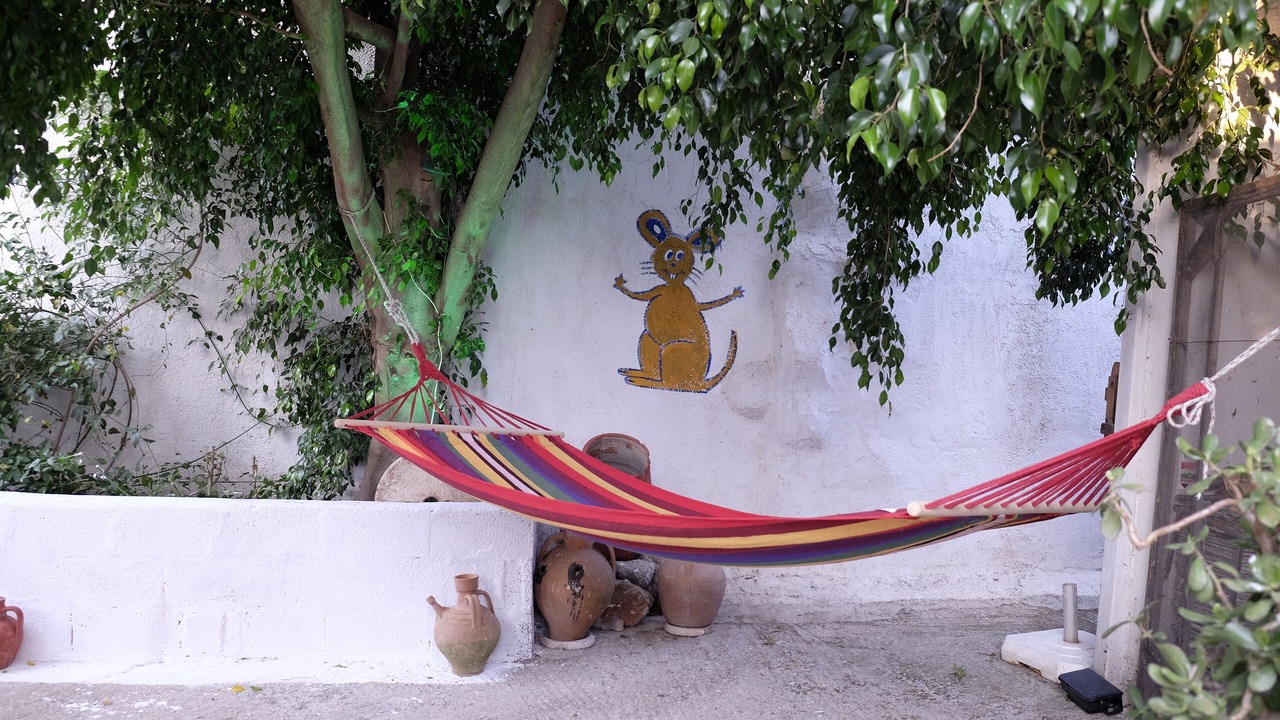 Photo of Outdoor in Pombia
