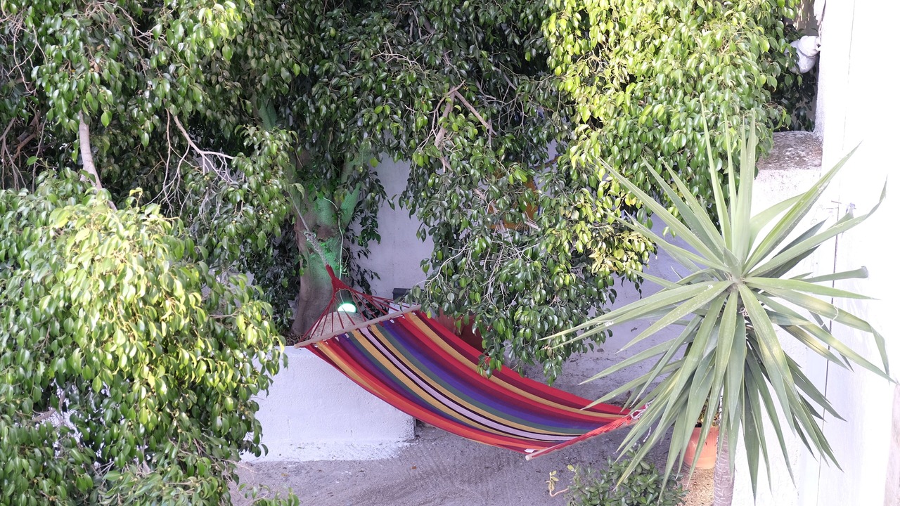 Photo of Outdoor in Pombia