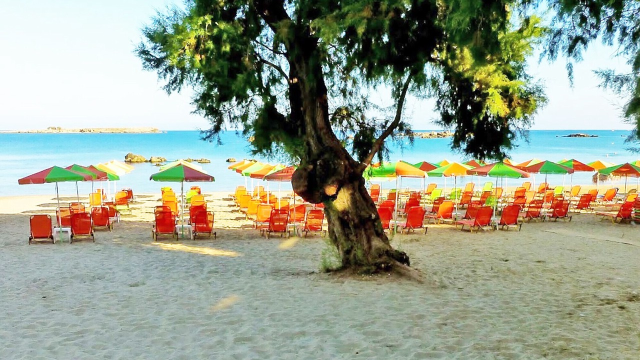 Photo of Others in Nea Chora