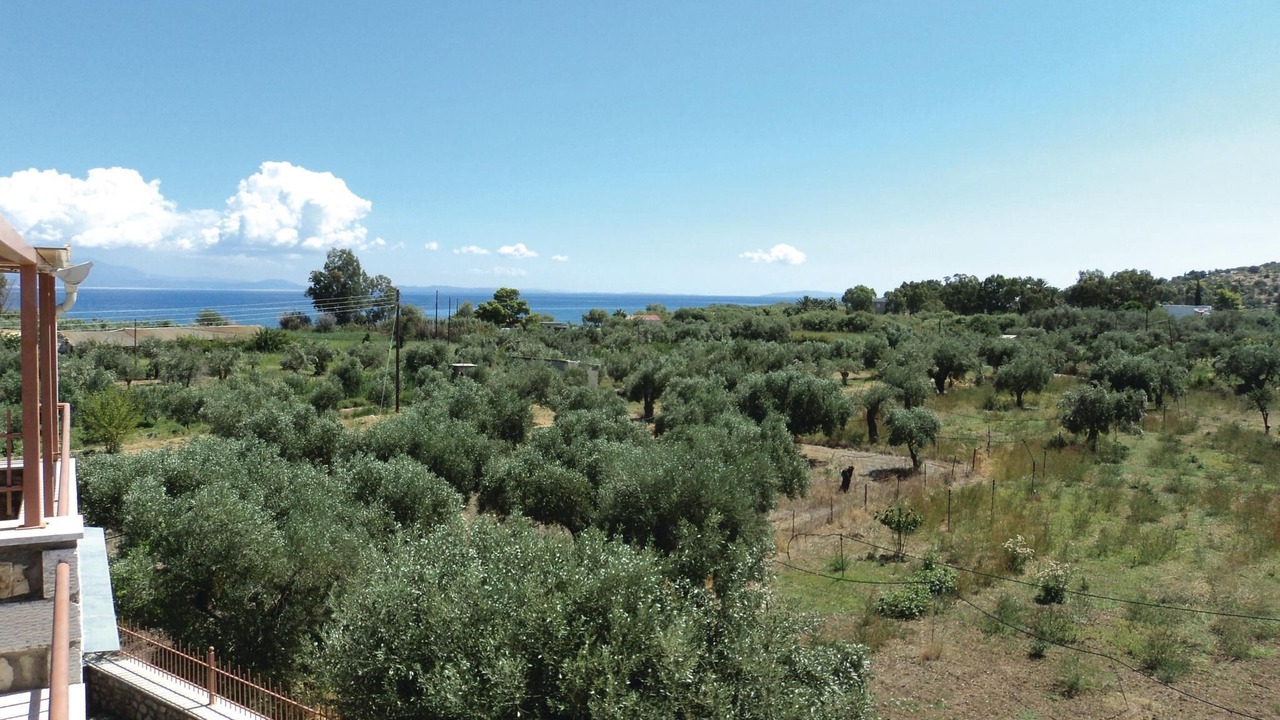 Photo of Bedroom in Paralia