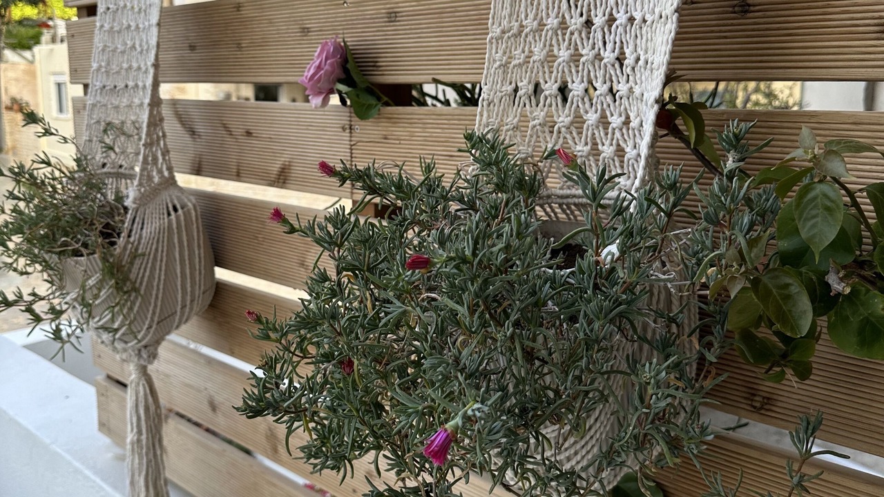 Photo of Outdoor in Agia Pelagia