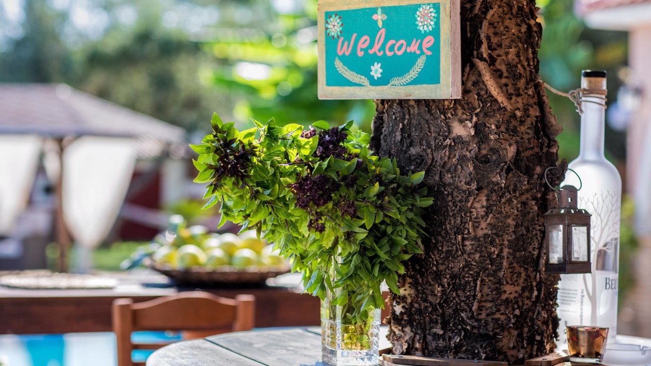 Photo of Outdoor in Laganas
