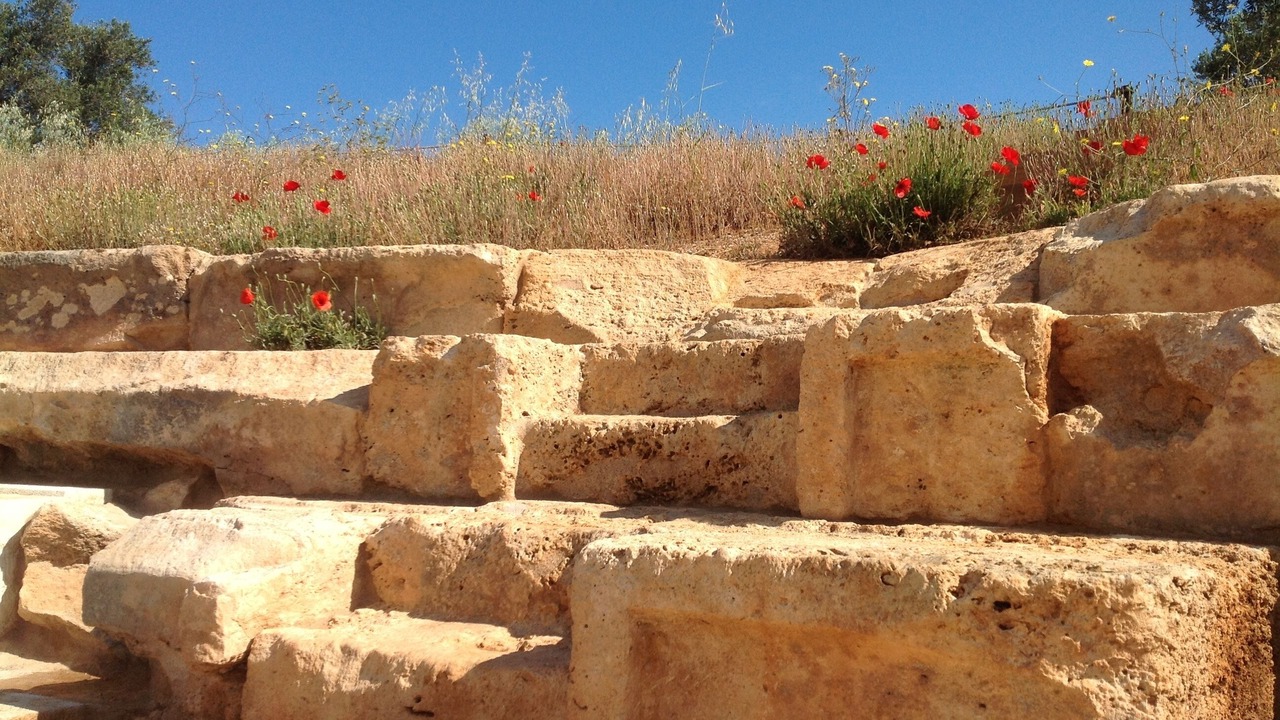 Photo of Outdoor in Paidochori