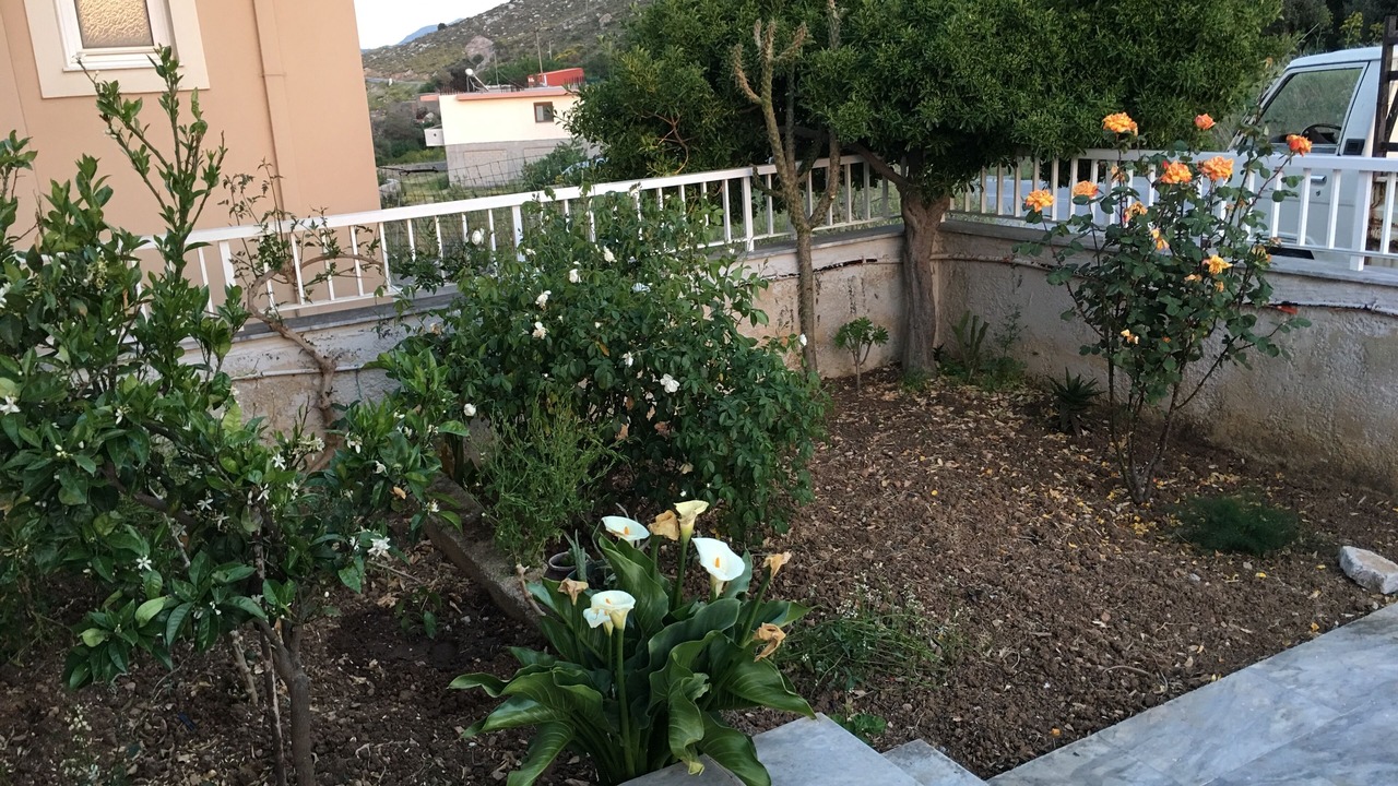 Photo of Outdoor in Akoumia