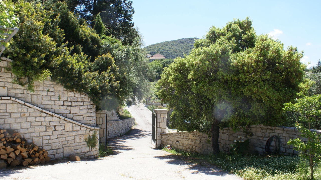 Photo of Outdoor in Petaleia