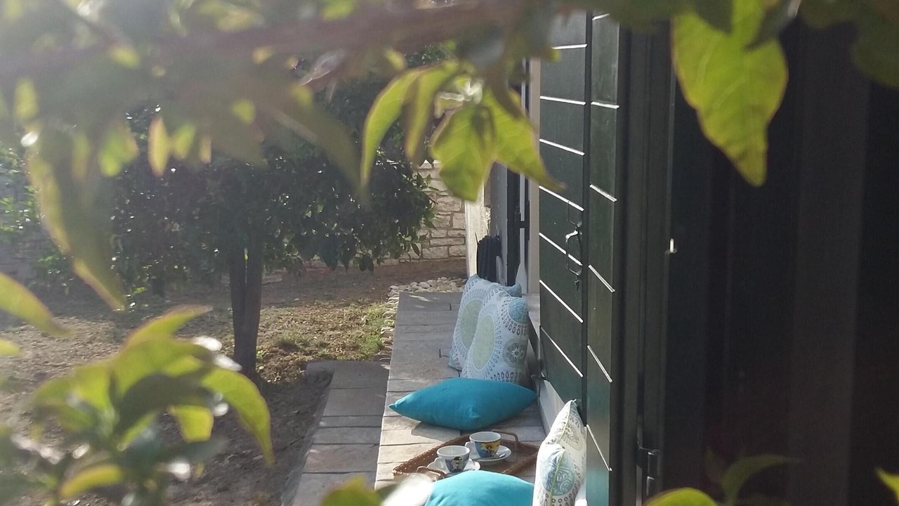 Photo of Outdoor in Petaleia
