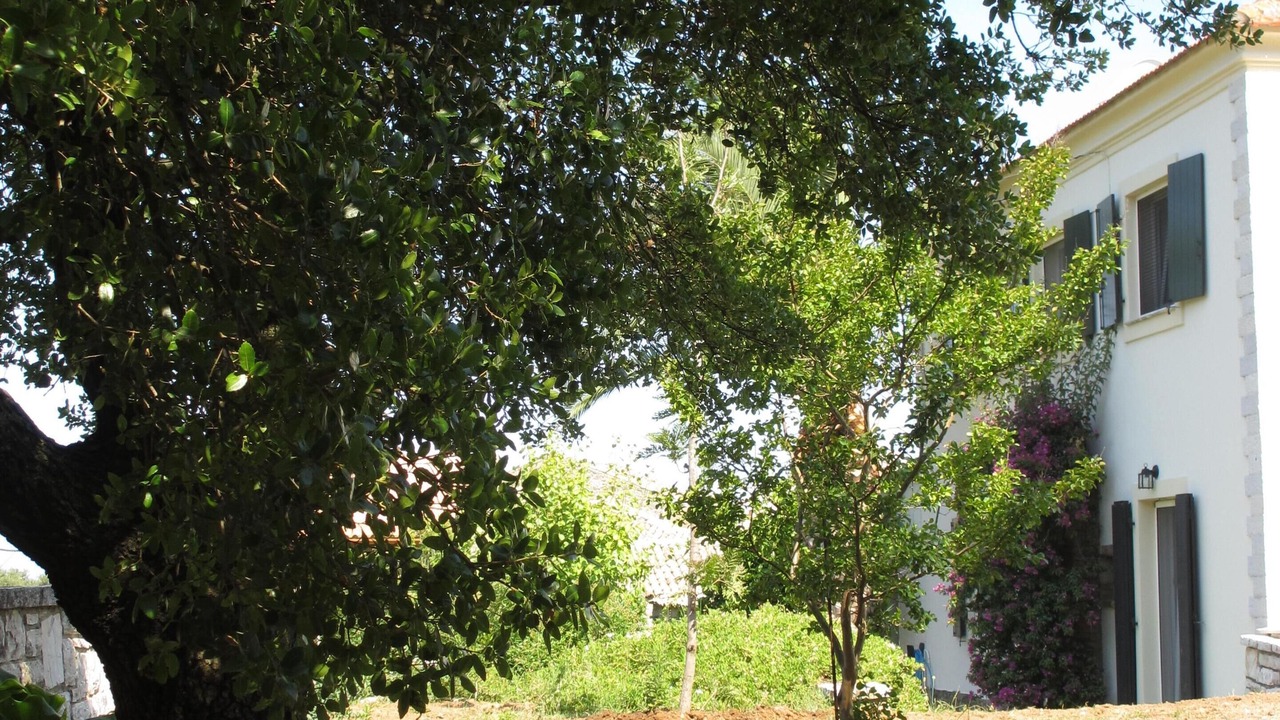 Photo of Outdoor in Petaleia