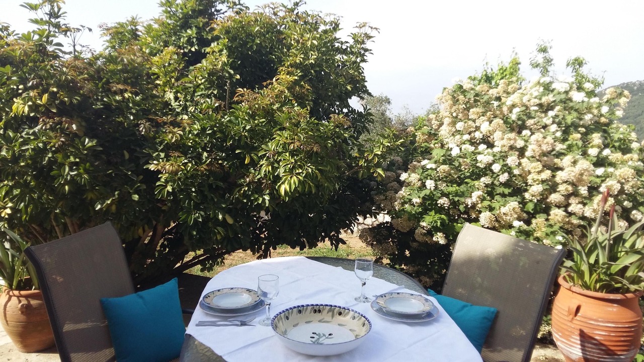 Photo of Outdoor in Petaleia