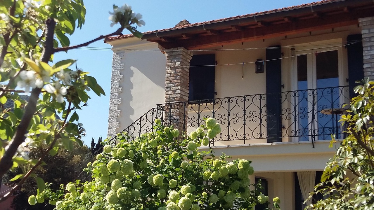 Photo of Outdoor in Petaleia