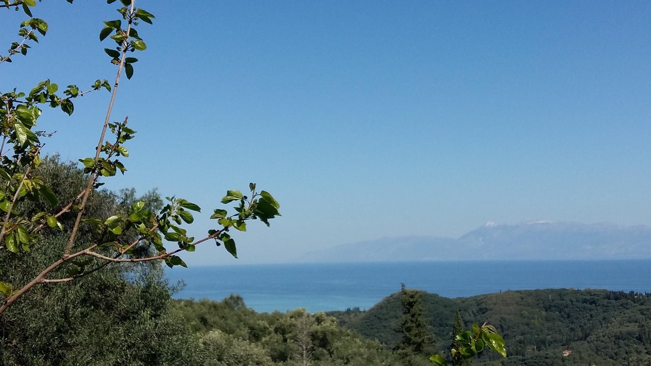 Photo of Outdoor in Petaleia
