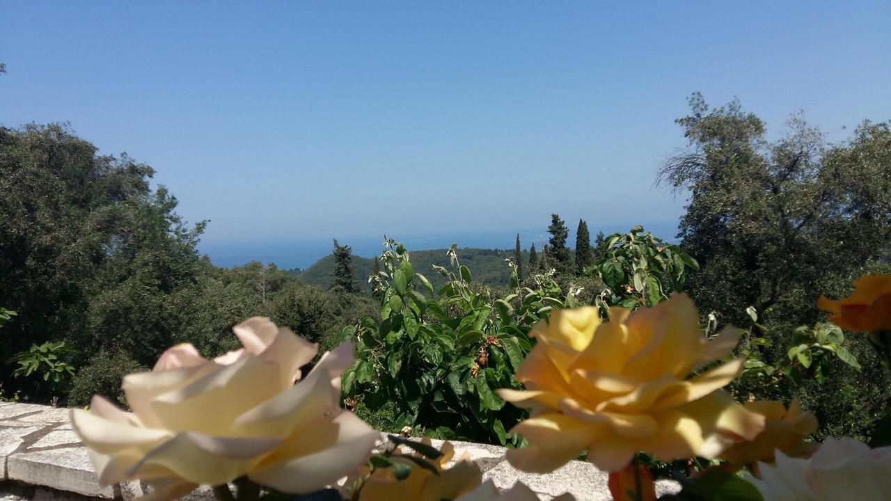Photo of Outdoor in Petaleia