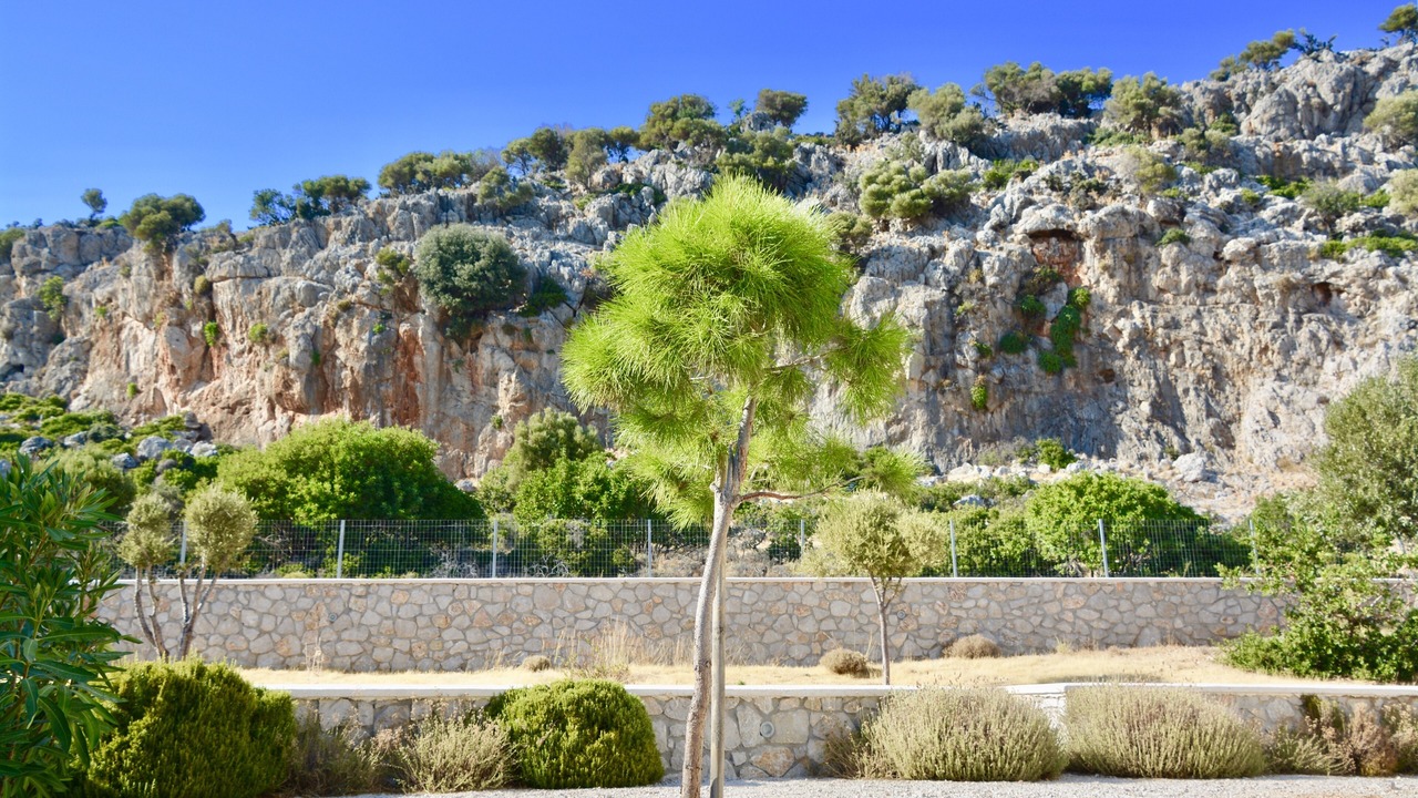 Photo of Outdoor in Afandou