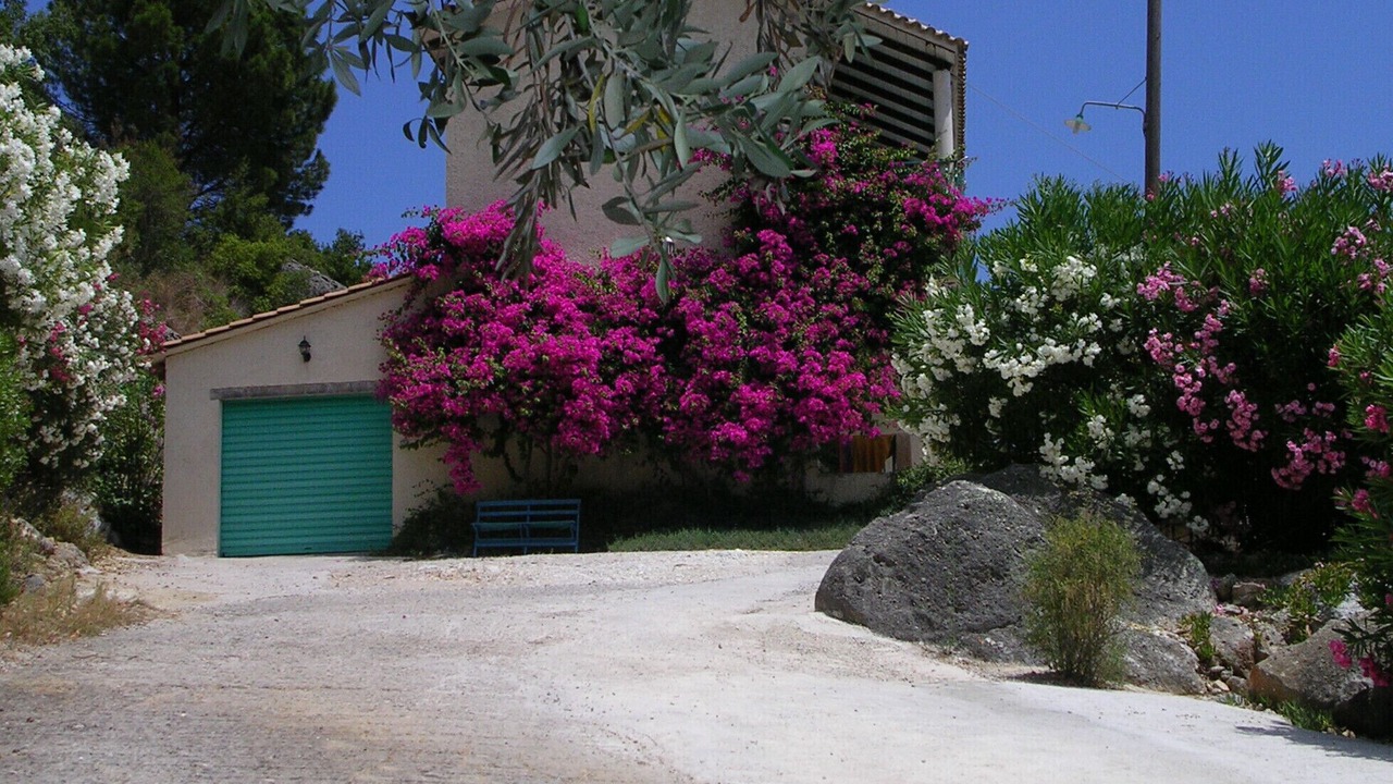 Photo of Outdoor in Katouna