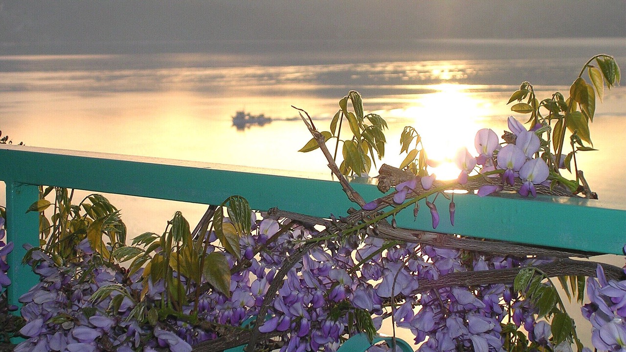 Photo of Outdoor in Katouna
