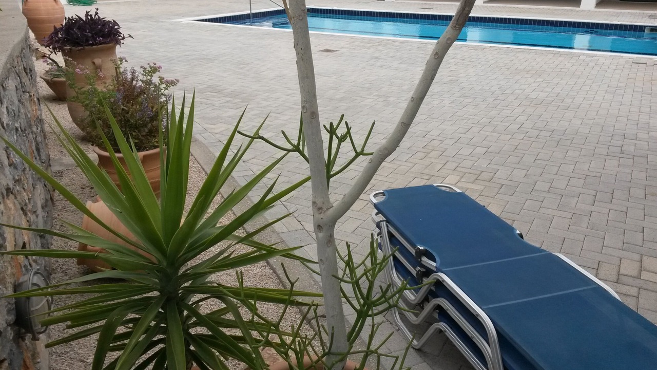 Photo of Outdoor in Gennadi