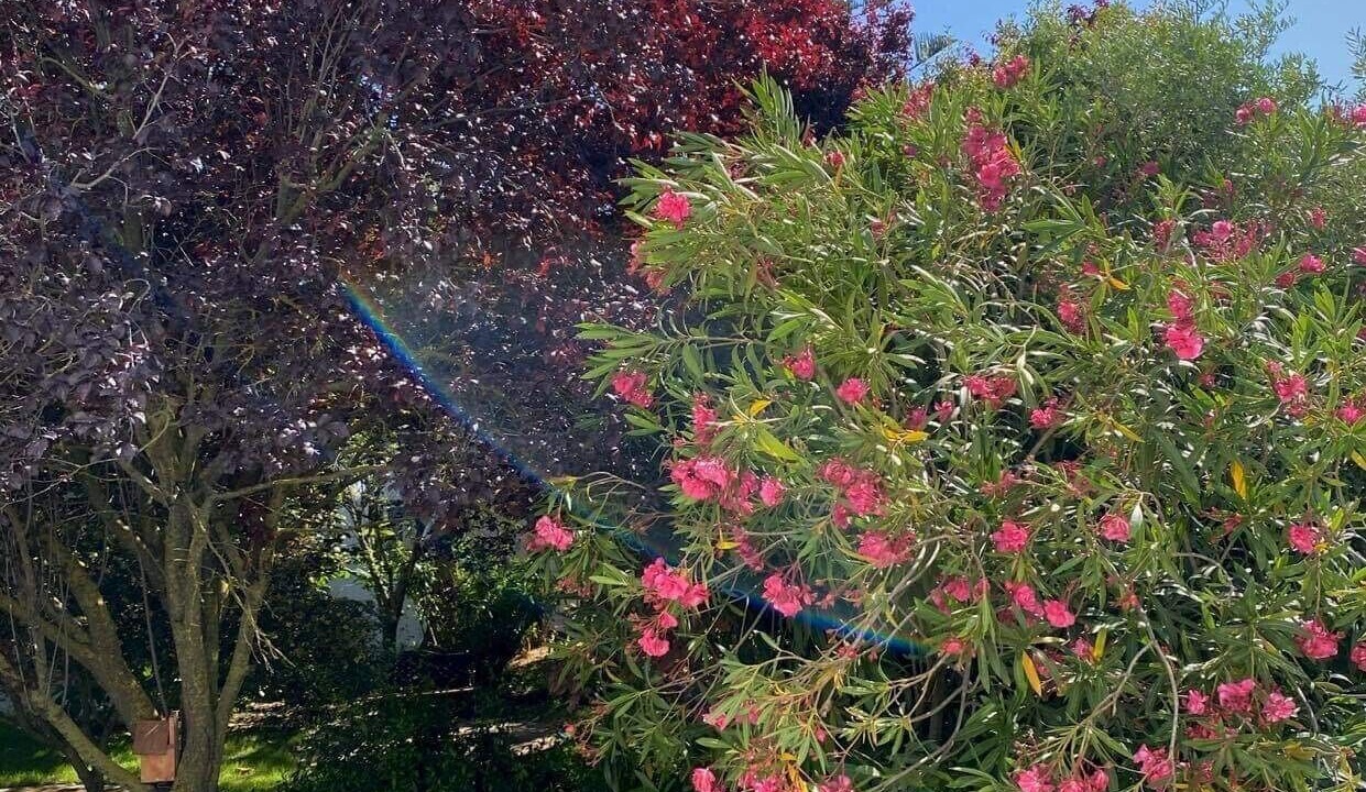 Photo of Outdoor in Tsikalaria