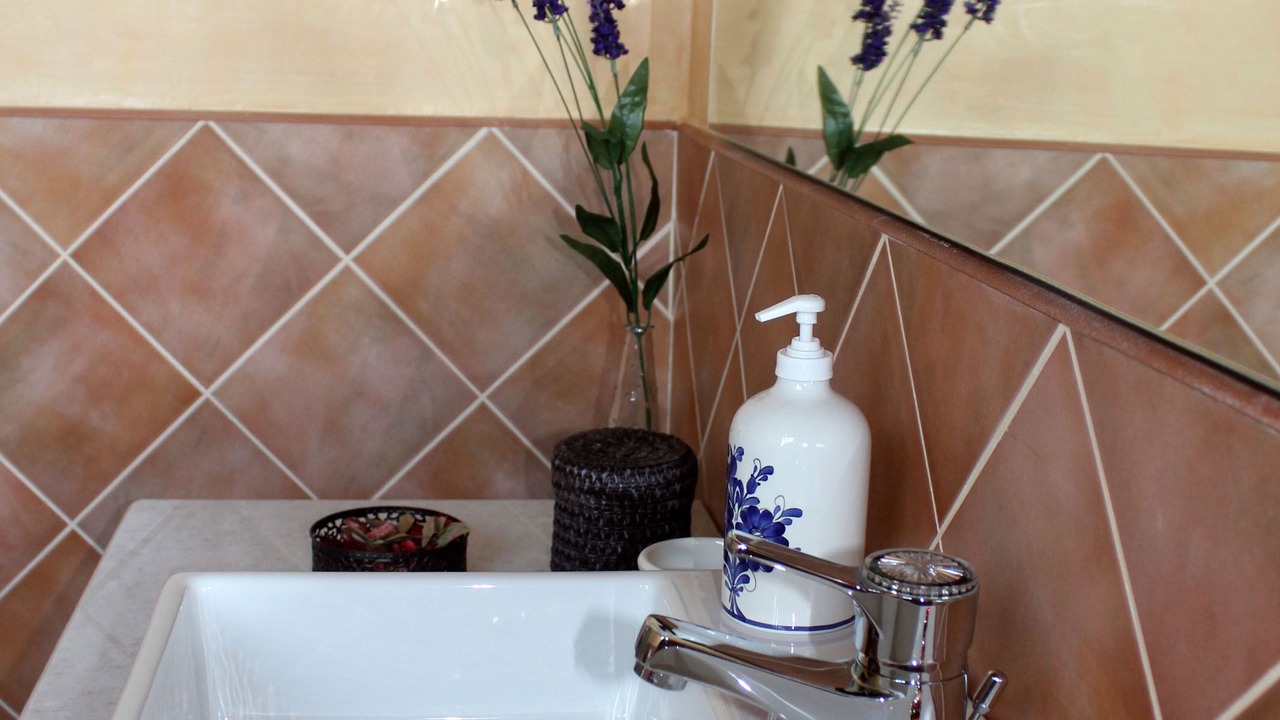 Photo of Bathroom in Rapaniana
