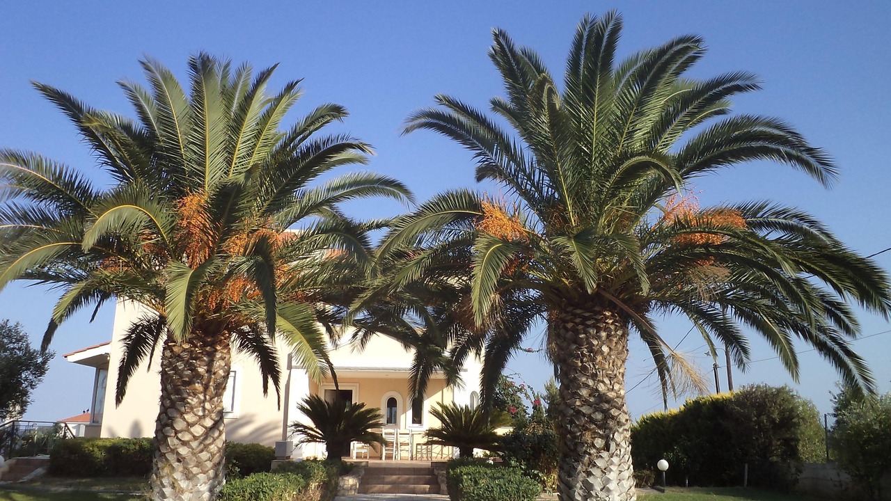 Photo of Outdoor in Rafina-Pikermi